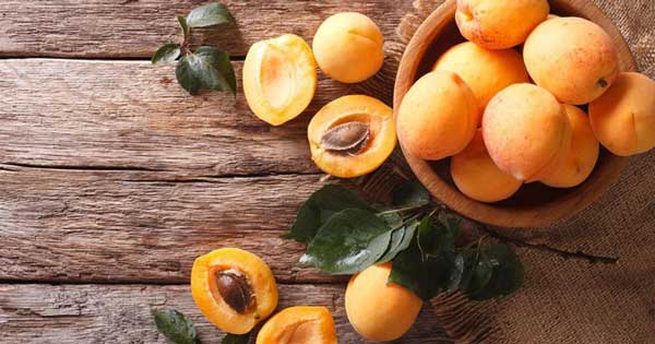 خواص روغن زردآلو برای پوست